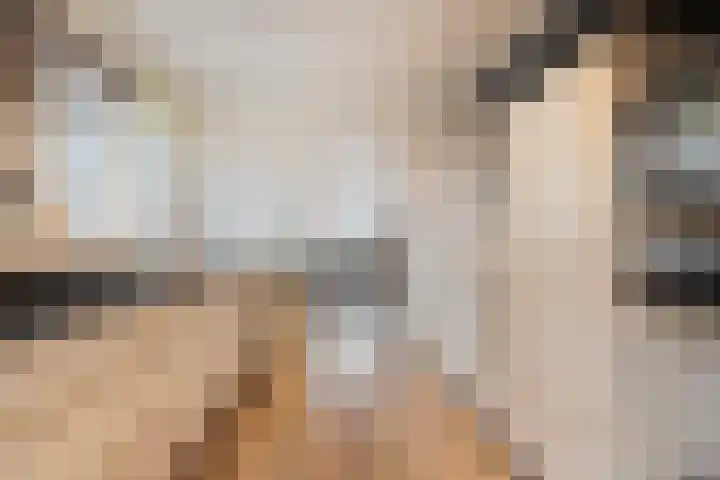 Sperwer 57 Ommen foto 3