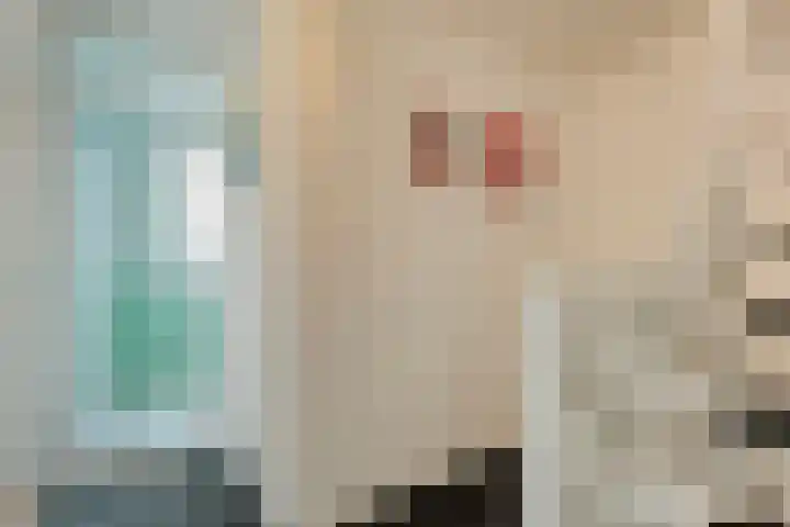 Sperwer 57 Ommen thumbnail 31