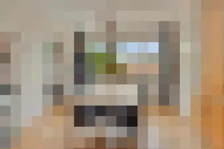 Sperwer 57 Ommen thumbnail 33