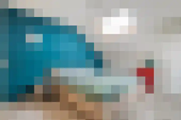 Sperwer 57 Ommen thumbnail 34