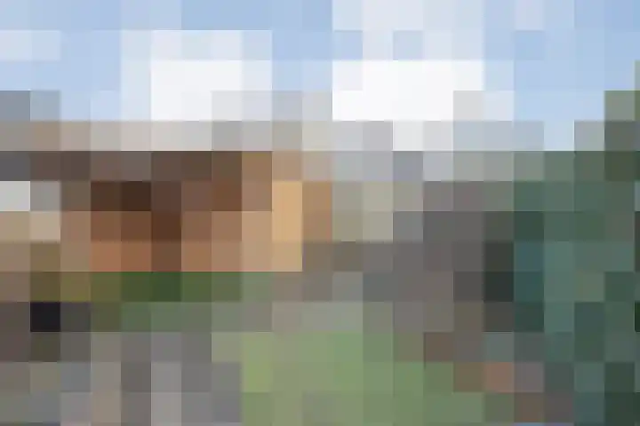 Sperwer 57 Ommen thumbnail 46