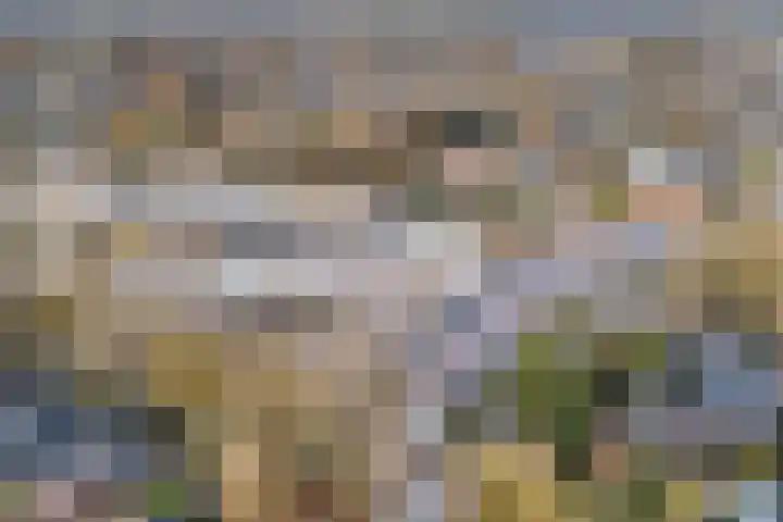 Sperwer 57 Ommen thumbnail 56