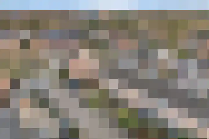 Sperwer 57 Ommen thumbnail 7