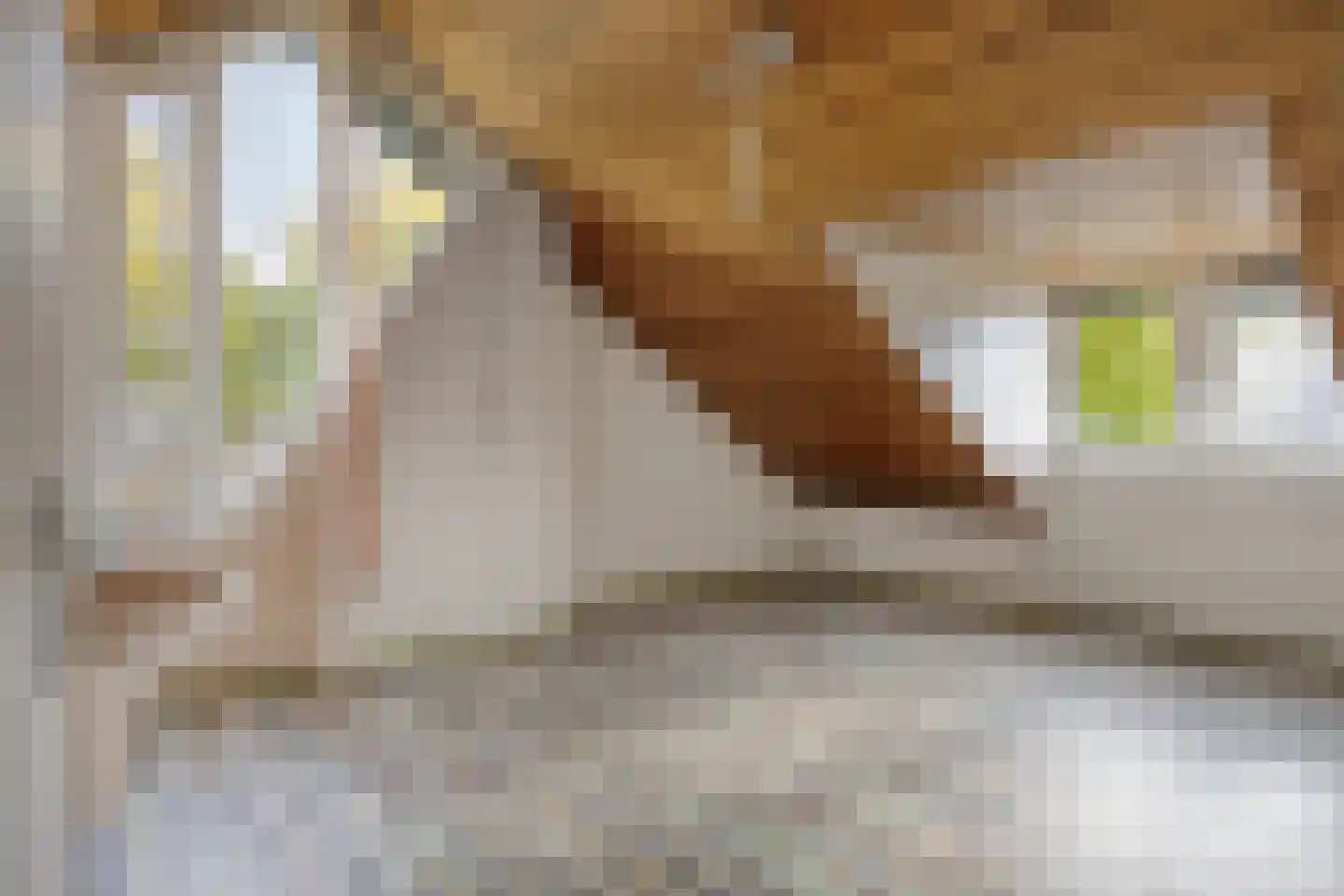 Sperwer 6 Bunschoten-Spakenburg thumbnail 21