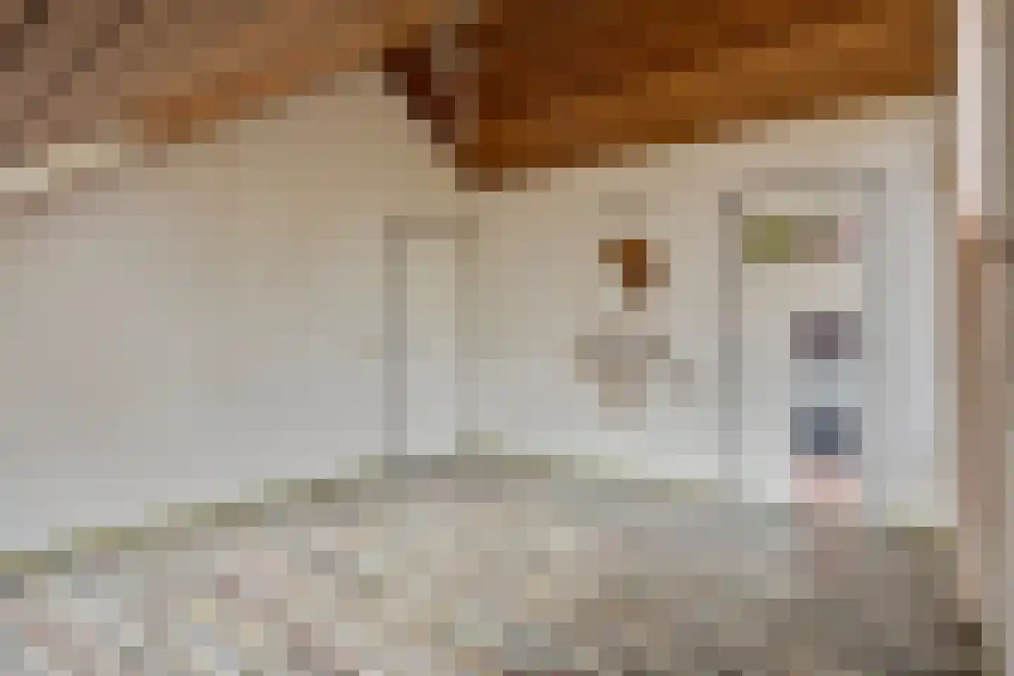Sperwer 6 Bunschoten-Spakenburg thumbnail 22