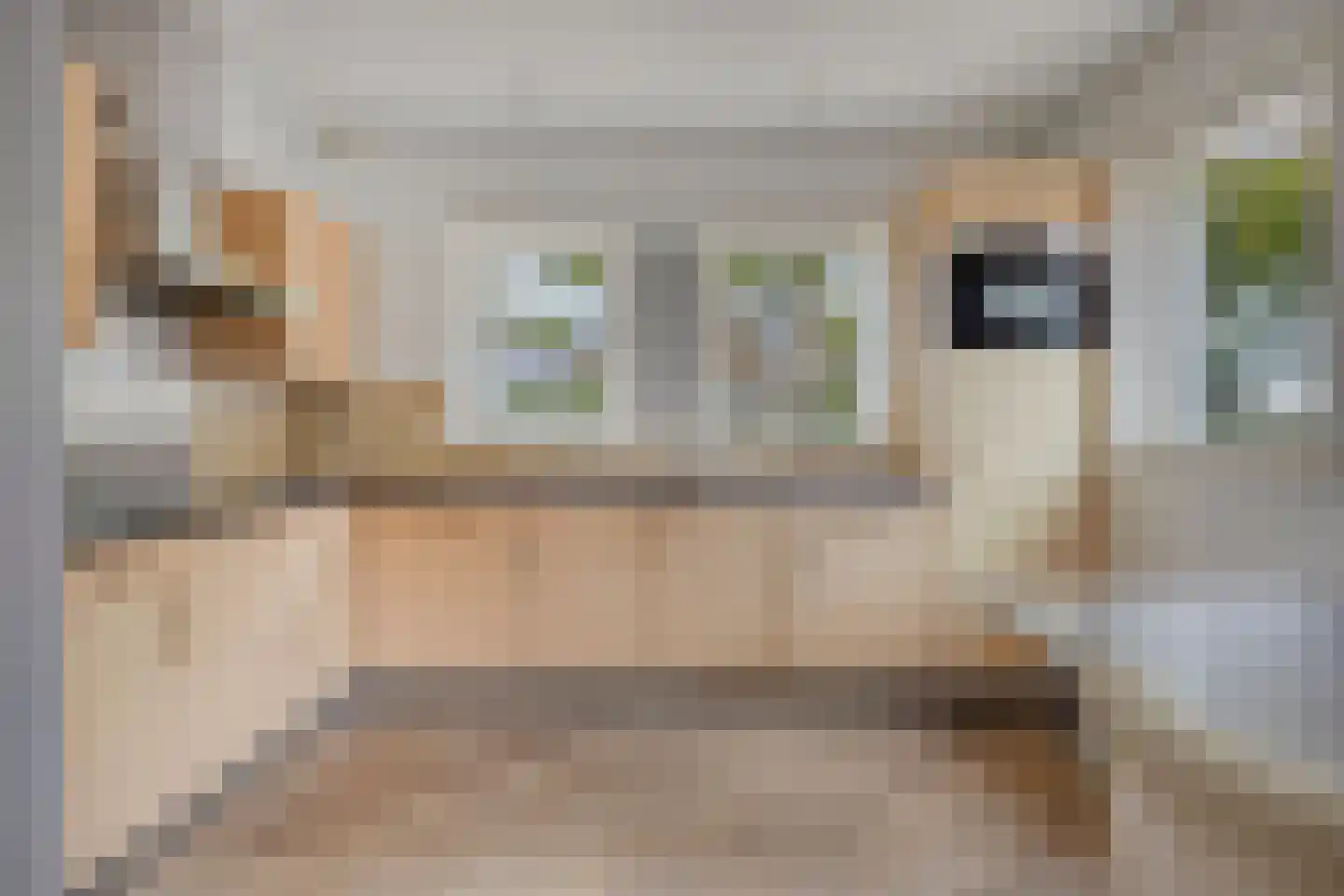 Sperwer 6 Bunschoten-Spakenburg thumbnail 5