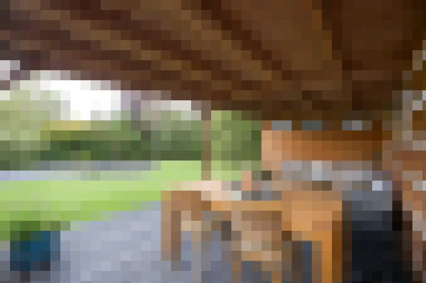 Sperwer 7 Terneuzen thumbnail 15