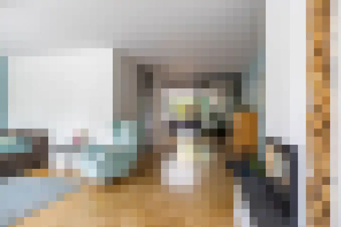 Sperwer 8 Bedum thumbnail 10