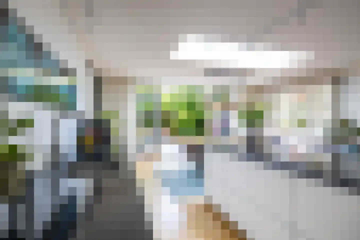 Sperwer 8 Bedum thumbnail 14
