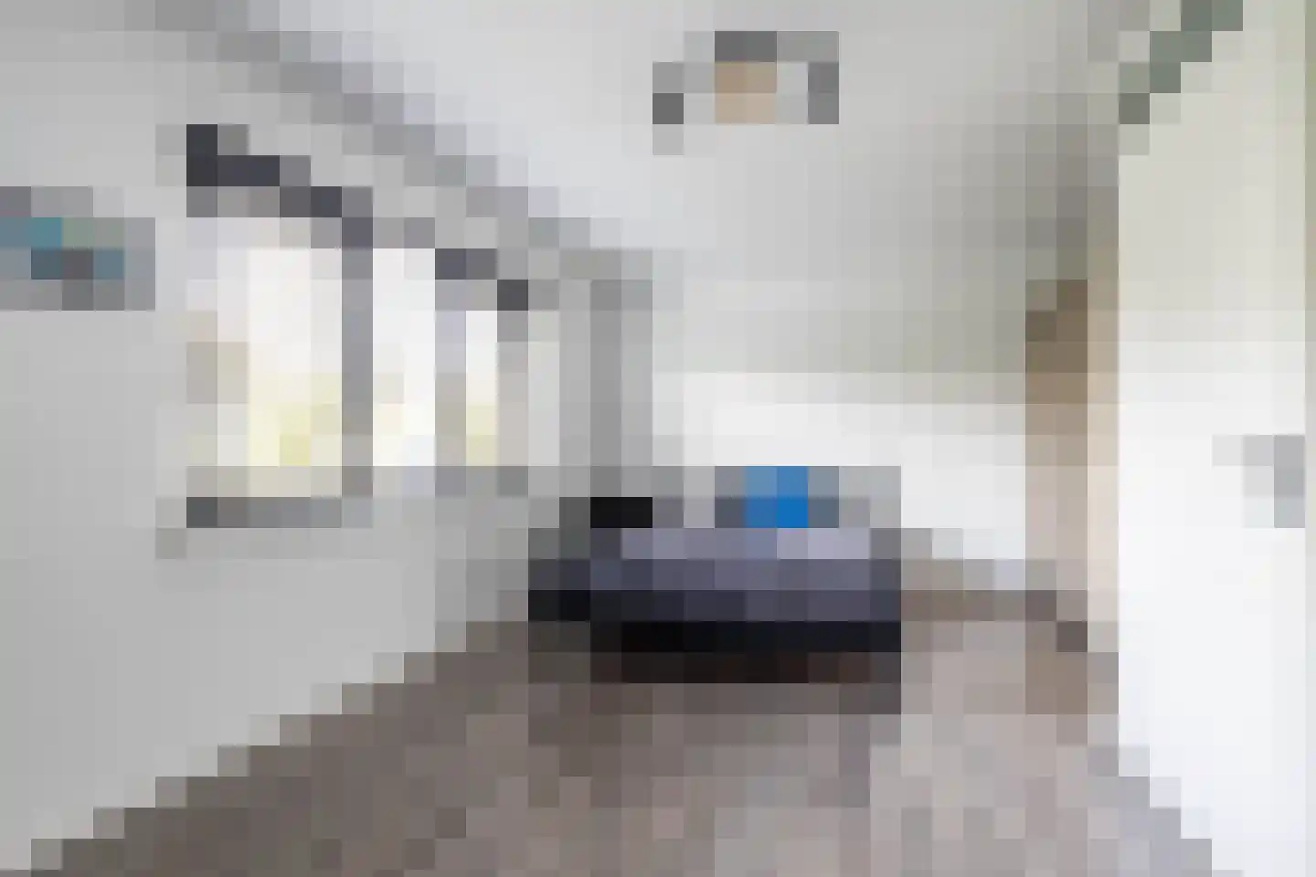 Sperwer 8 Bedum thumbnail 32