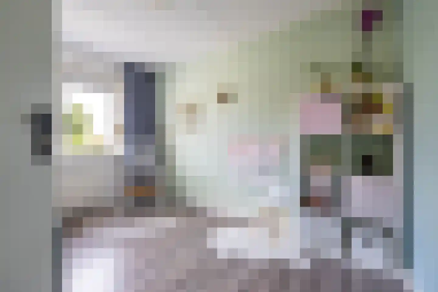Sperwer 8 Bedum thumbnail 36