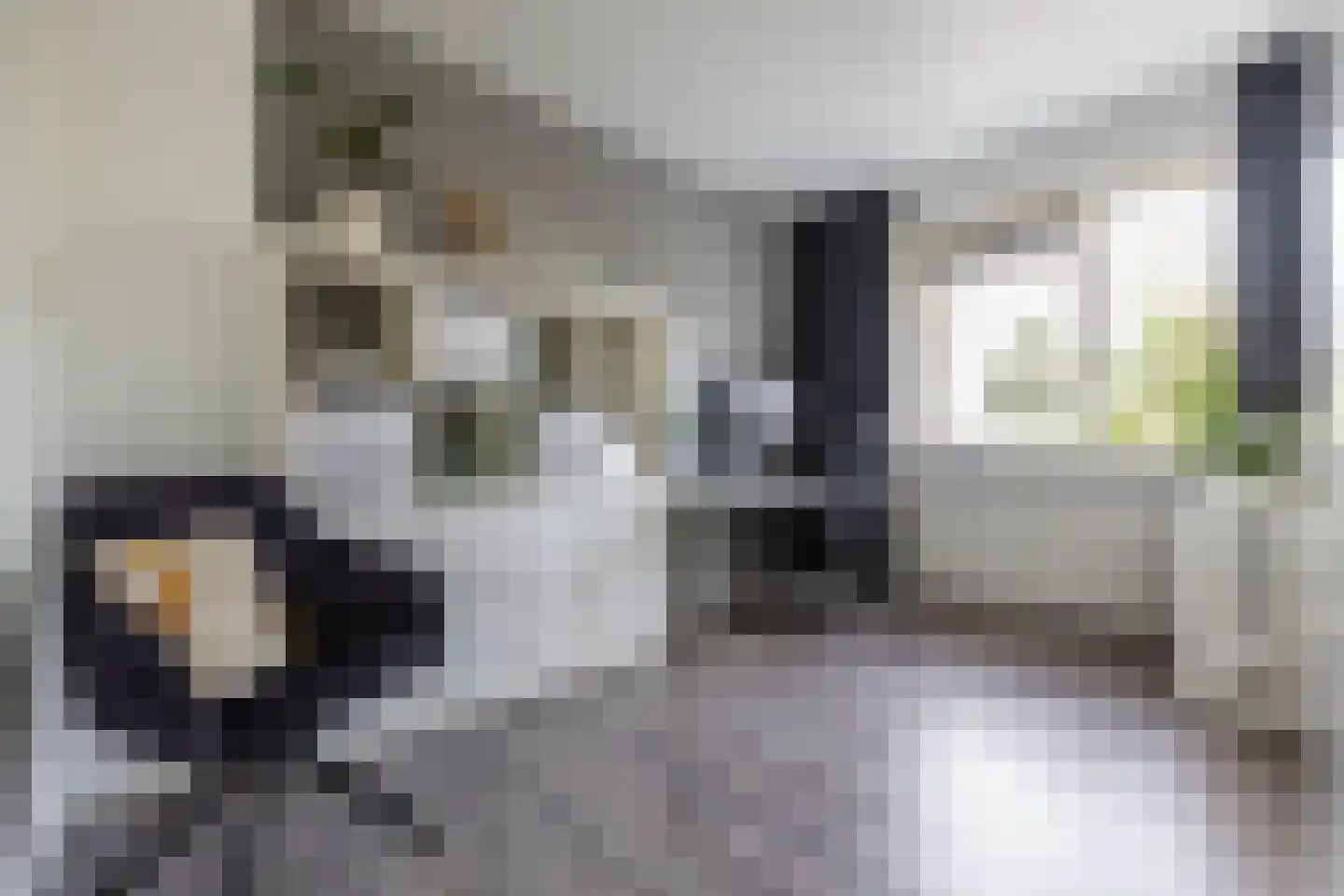 Sperwer 8 Bedum thumbnail 37