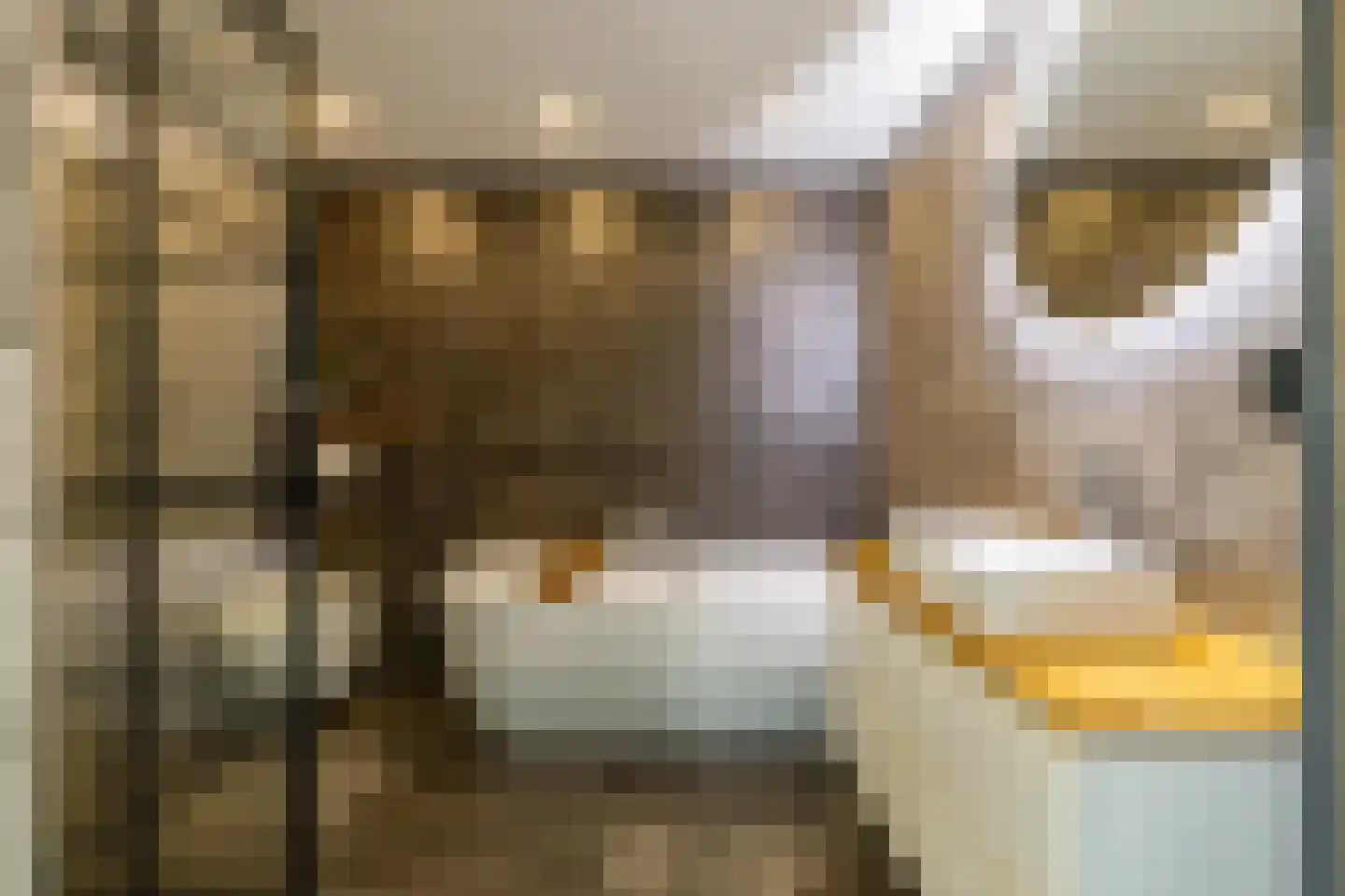 Sperwer 8 Bedum thumbnail 39