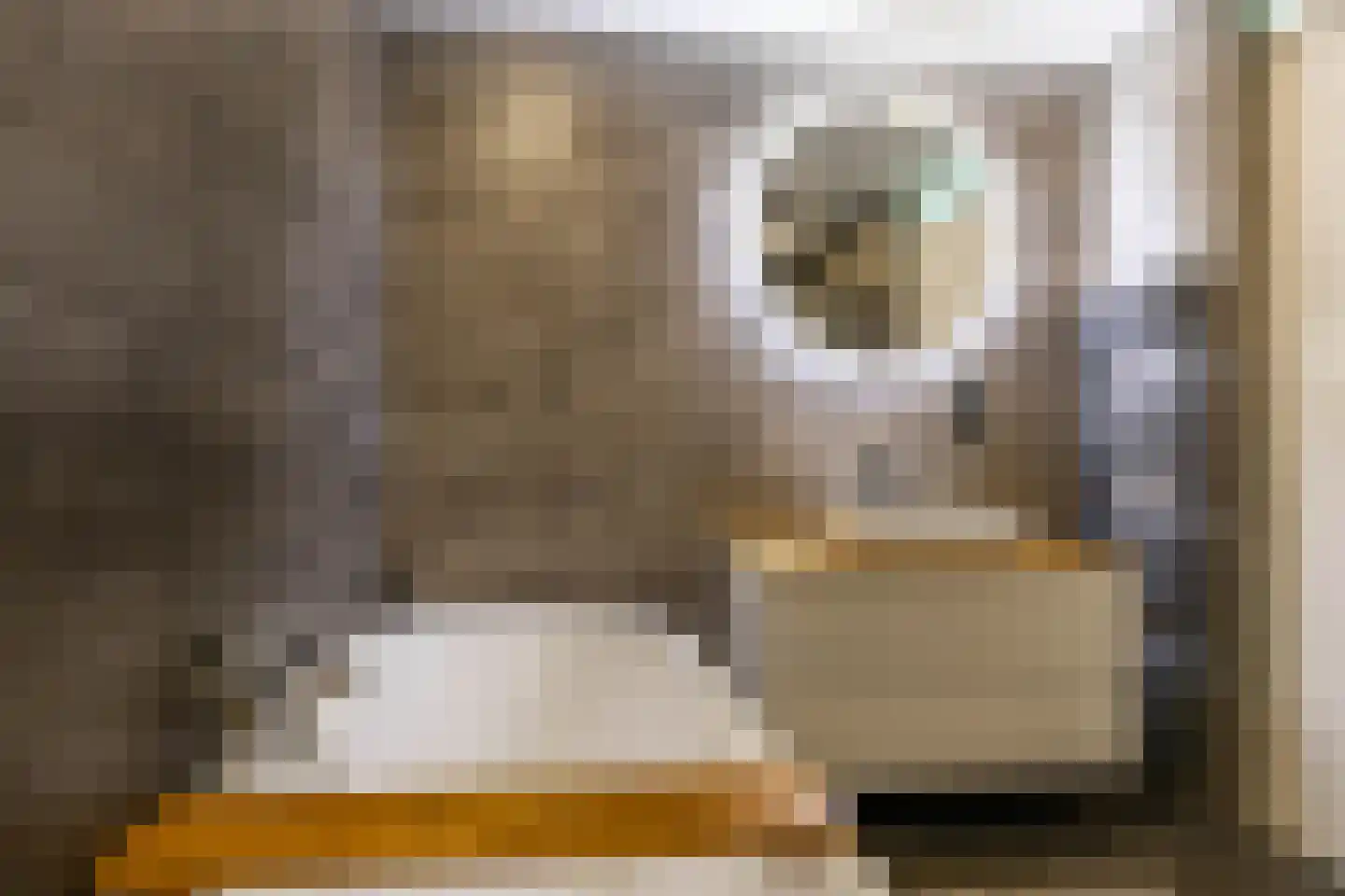 Sperwer 8 Bedum thumbnail 42