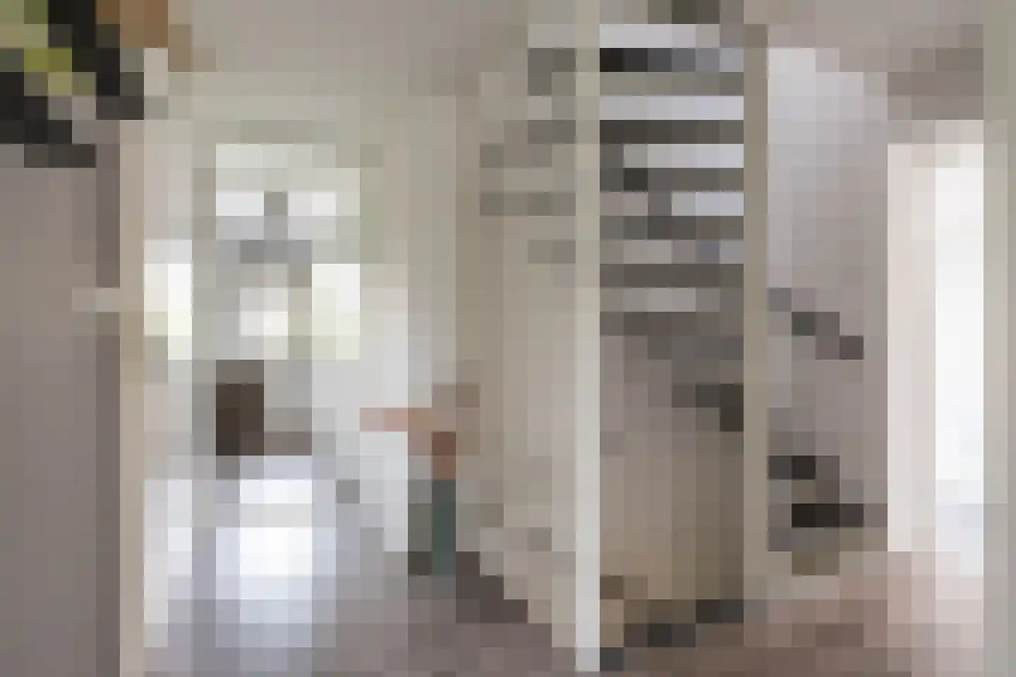 Sperwer 8 Bedum thumbnail 44