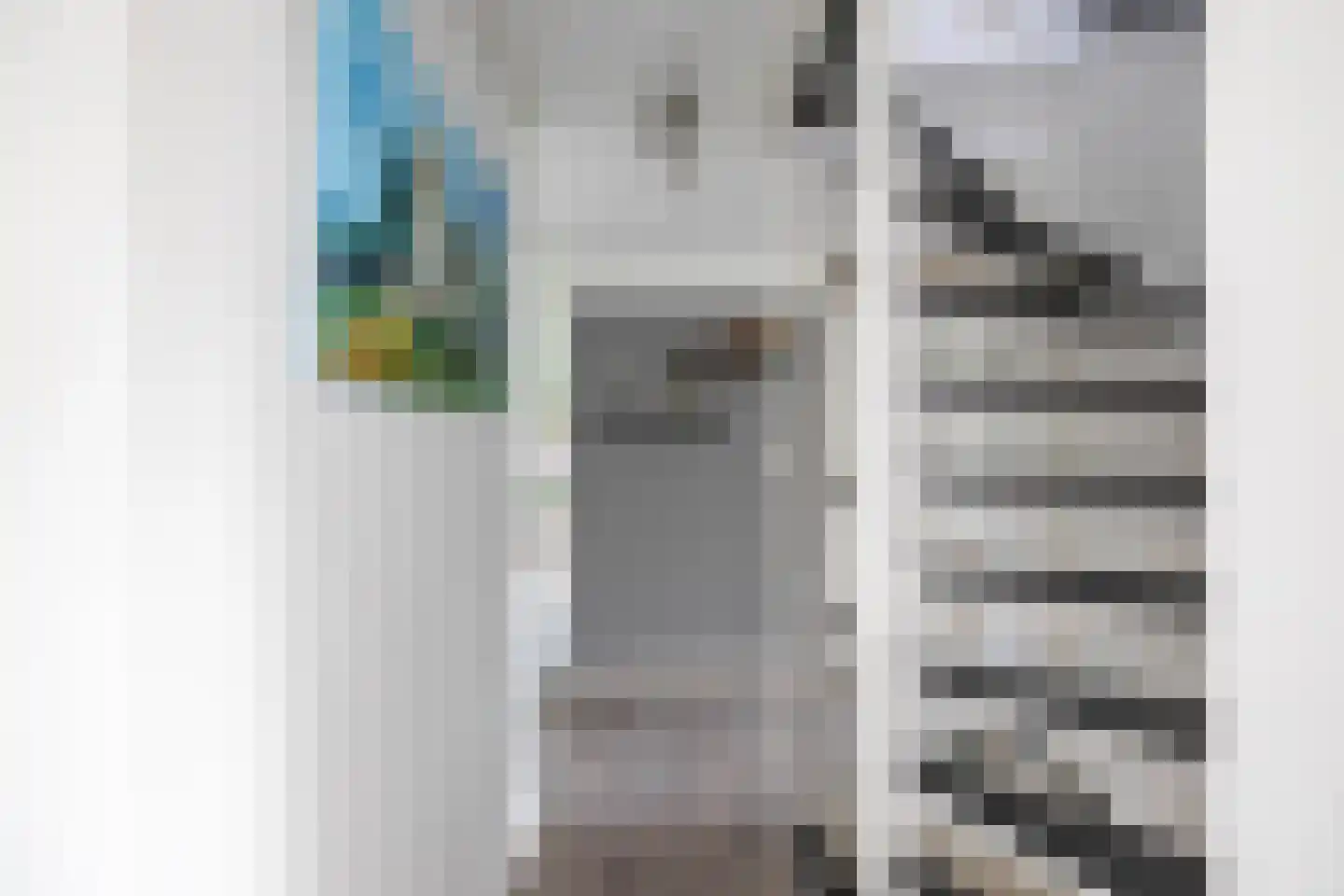 Sperwer 8 Bedum thumbnail 45