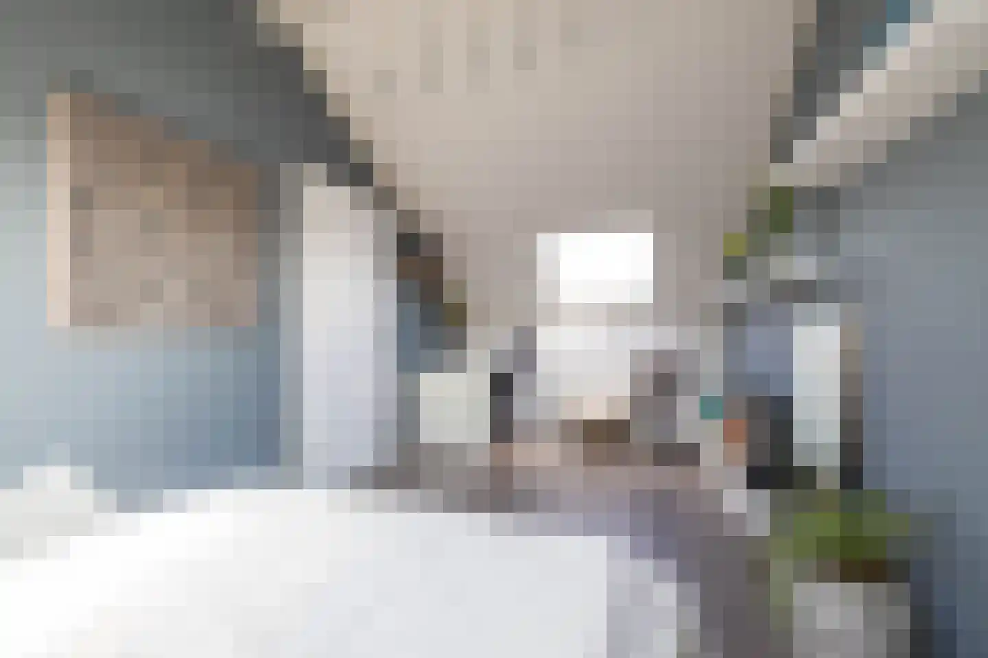 Sperwer 8 Bedum thumbnail 49