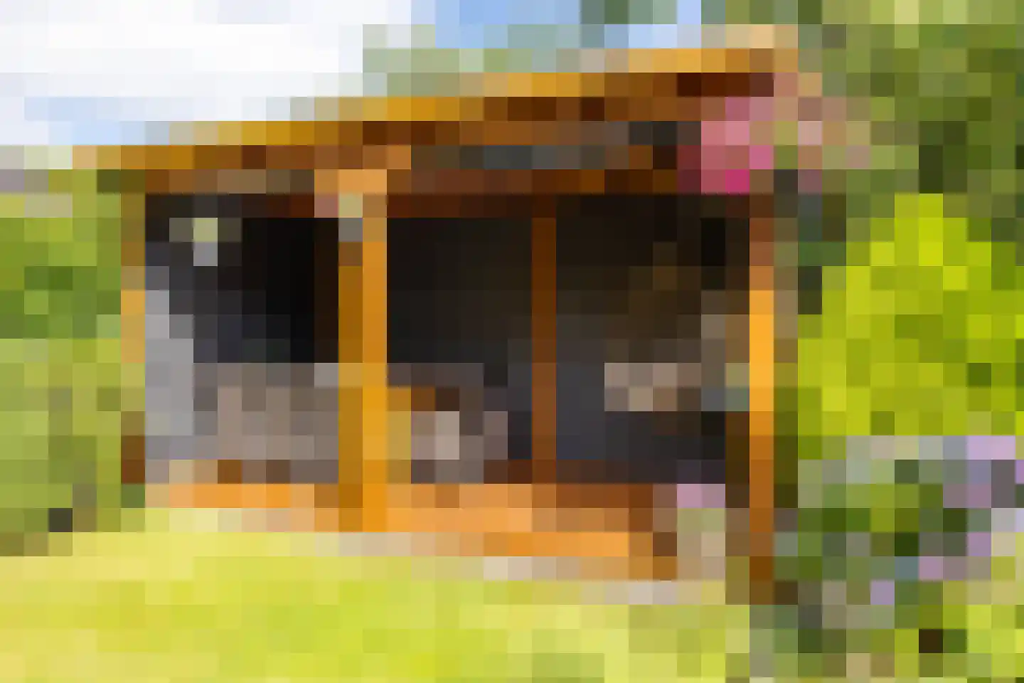 Sperwer 8 Bedum thumbnail 54
