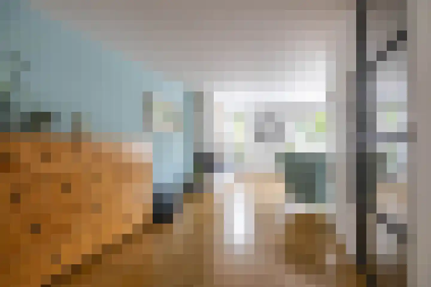 Sperwer 8 Bedum thumbnail 6