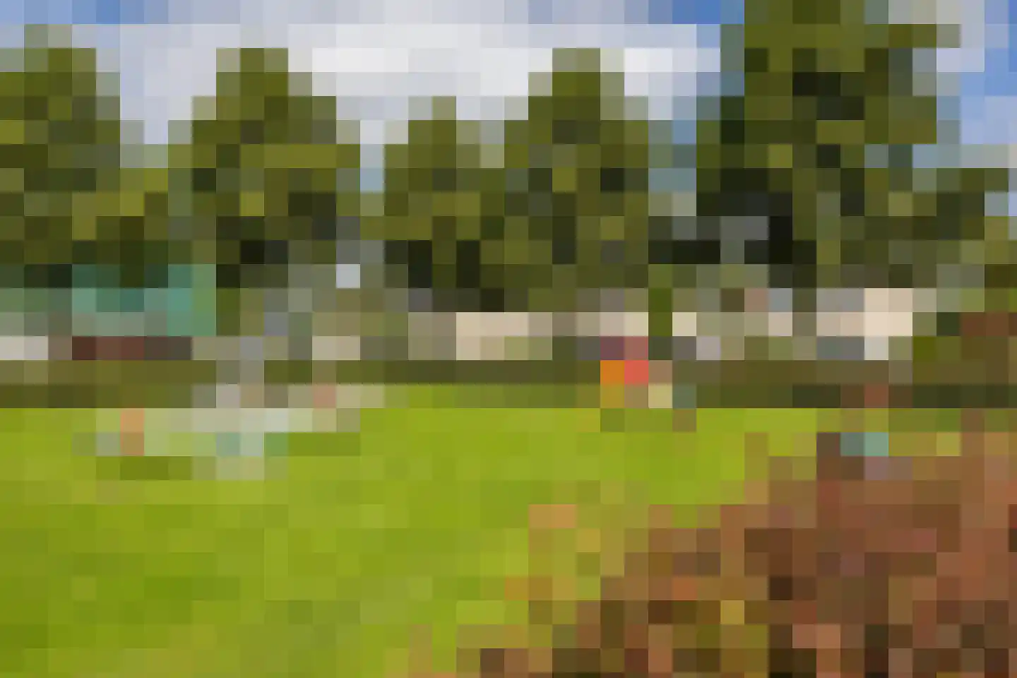 Sperwer 8 Bedum thumbnail 61