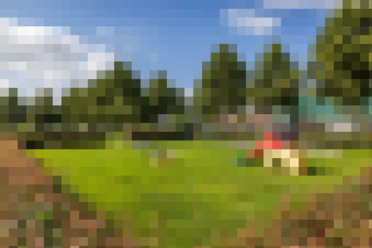 Sperwer 8 Bedum thumbnail 62