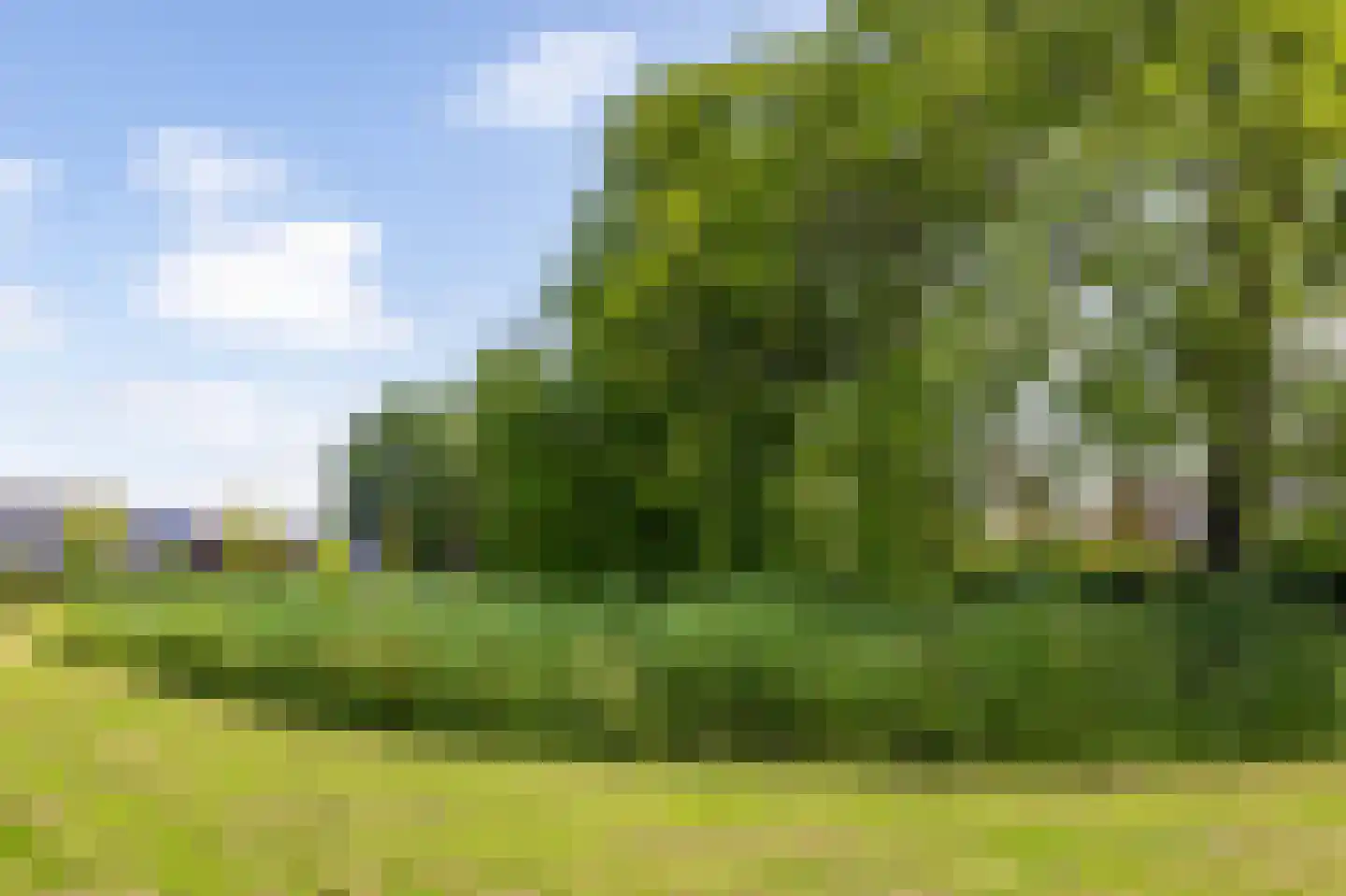 Sperwer 8 Bedum thumbnail 63