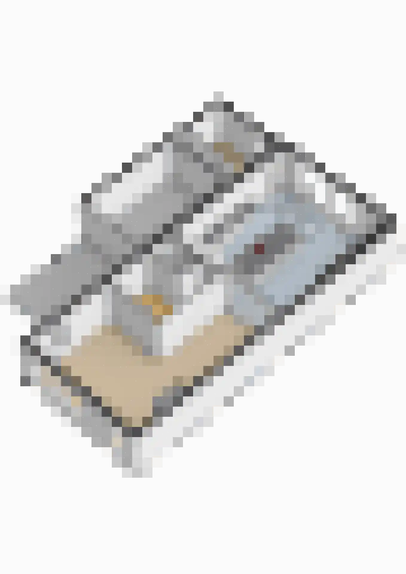 Sperwer 8 Bedum thumbnail 69