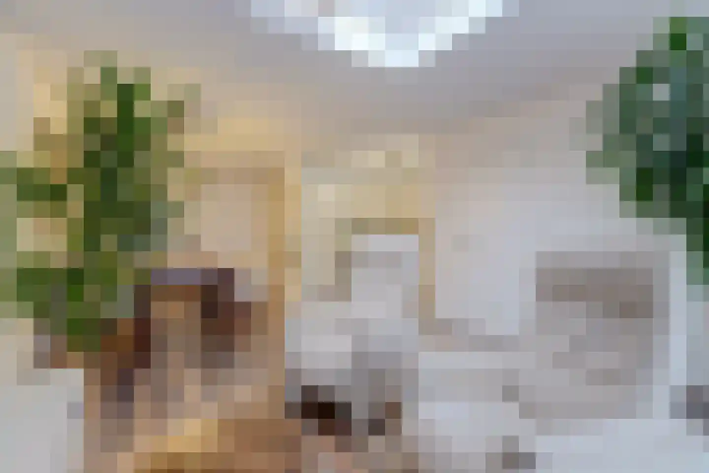 Sperwerhoek 10 Waddinxveen thumbnail 15