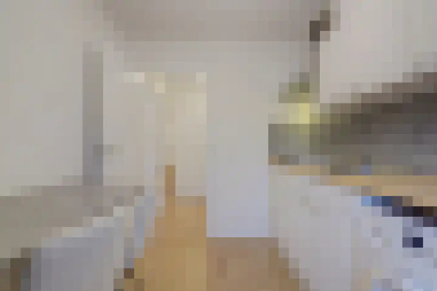 Sperwerhoek 10 Waddinxveen thumbnail 28