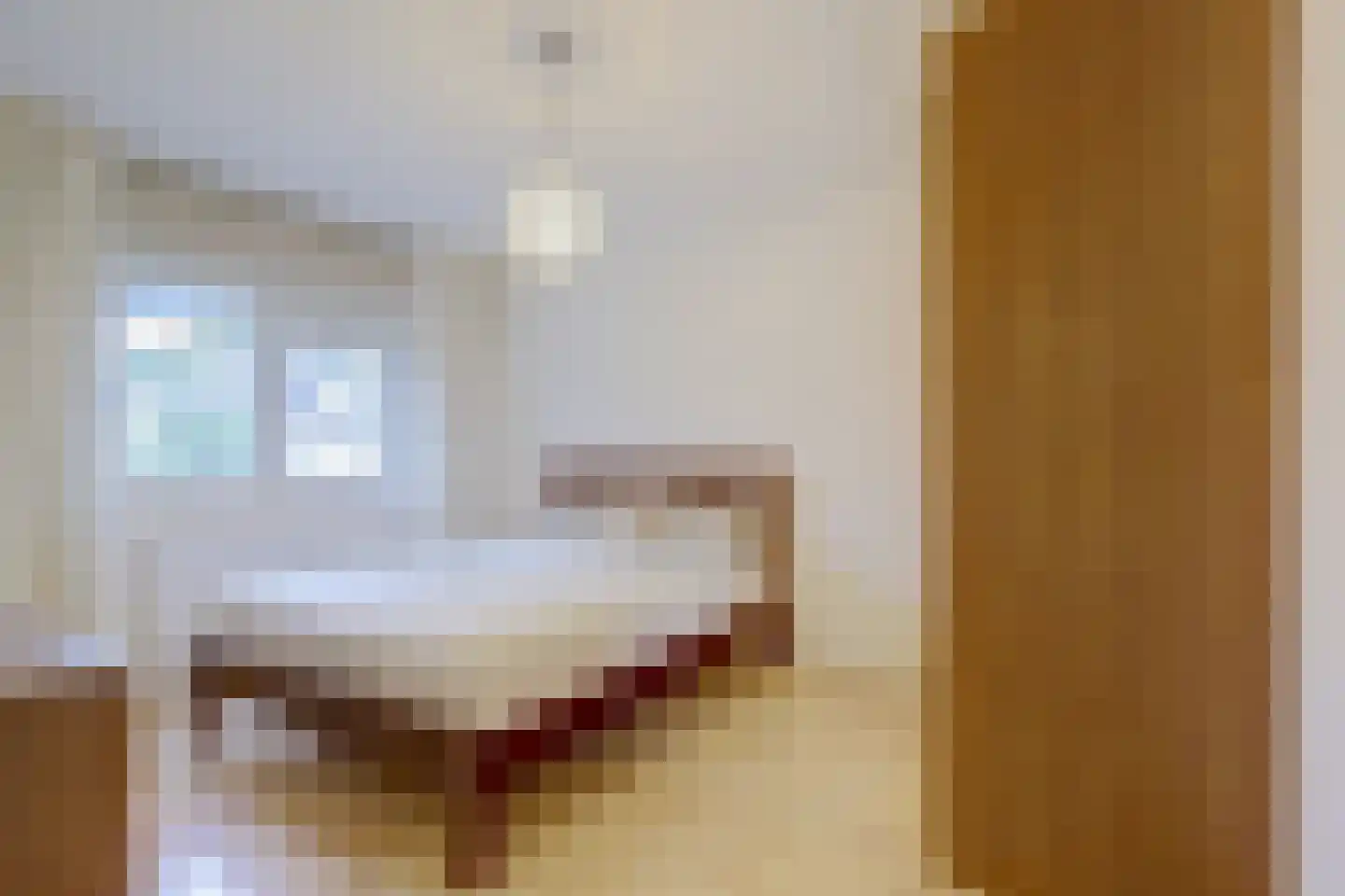 Sperwerhoek 10 Waddinxveen thumbnail 31