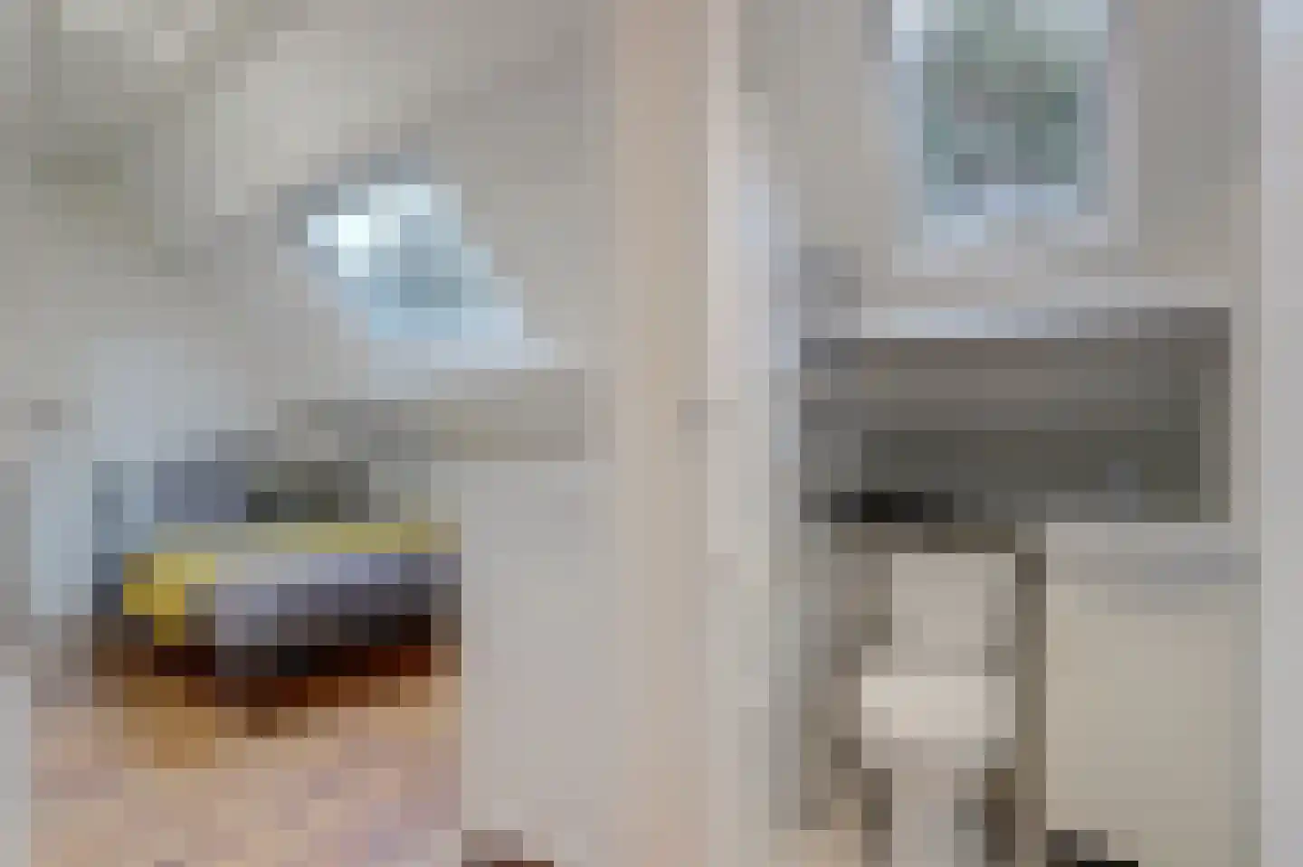 Sperwerhoek 10 Waddinxveen thumbnail 37