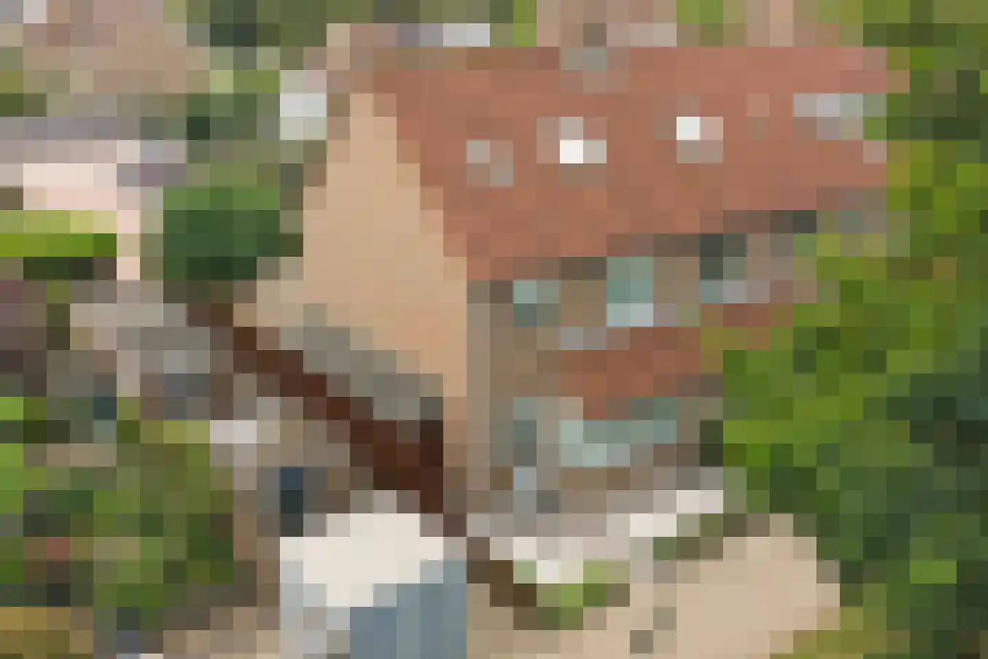 Sperwerhoek 10 Waddinxveen thumbnail 47