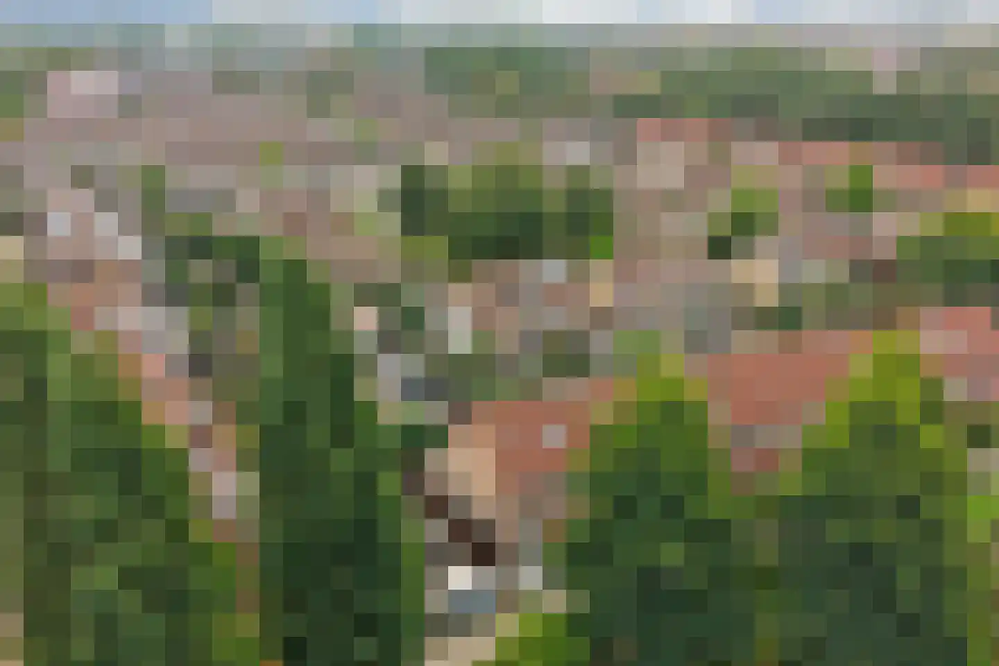 Sperwerhoek 10 Waddinxveen thumbnail 48