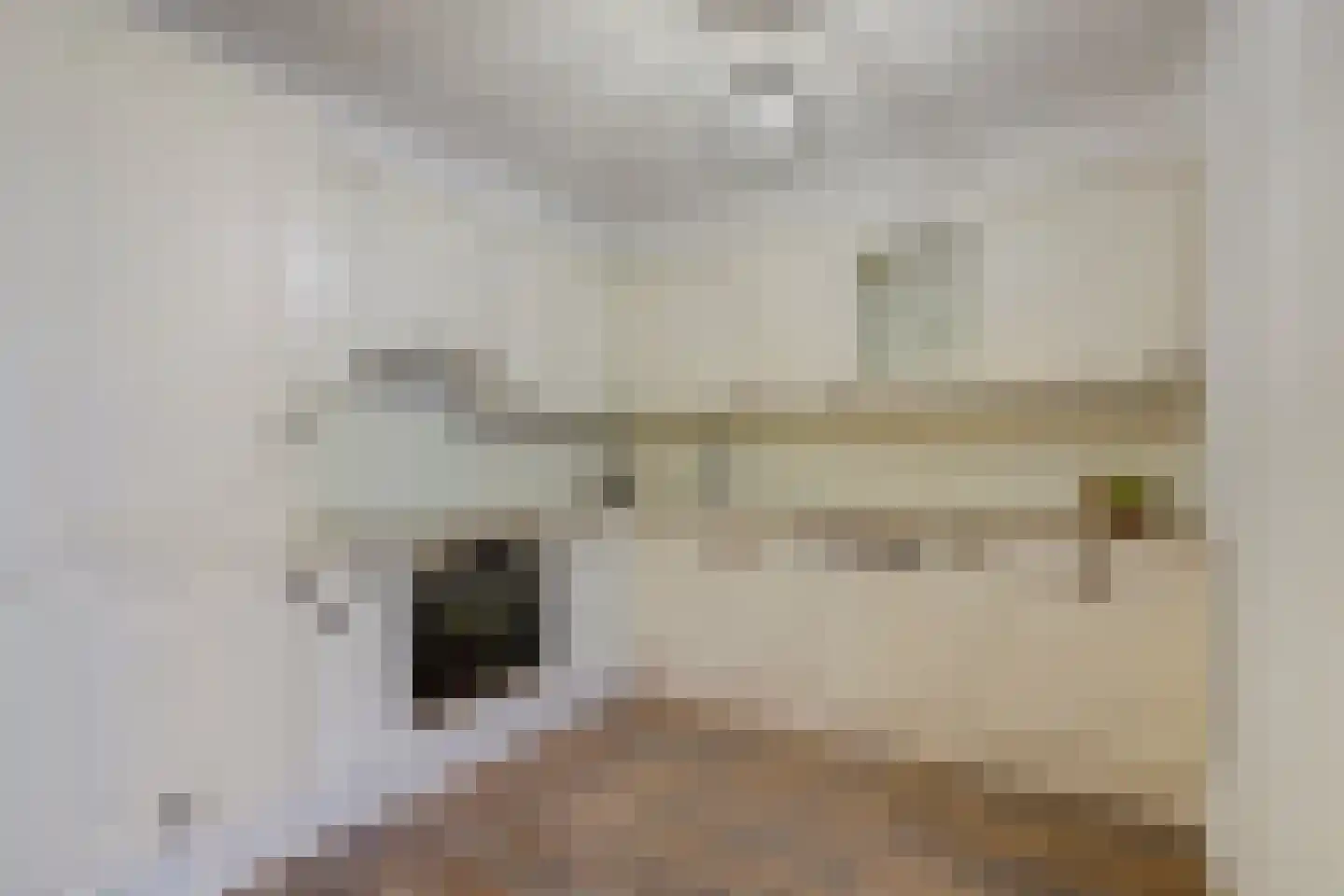 Sperwerhoek 10 Waddinxveen thumbnail 5