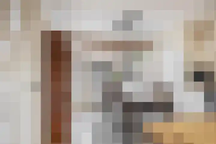Sperwerhoek 12 Waddinxveen thumbnail 14