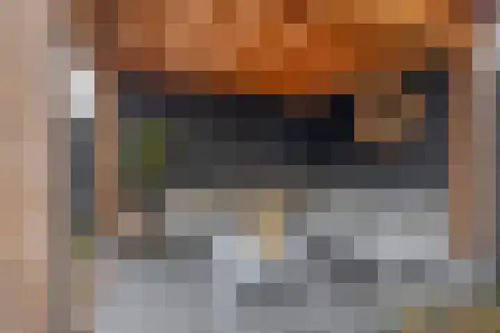 Sperwerhoek 12 Waddinxveen thumbnail 21
