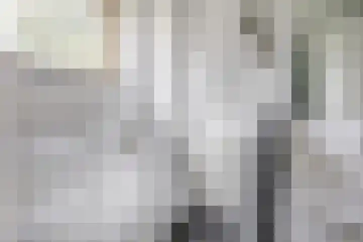 Sperwerhoek 12 Waddinxveen thumbnail 31
