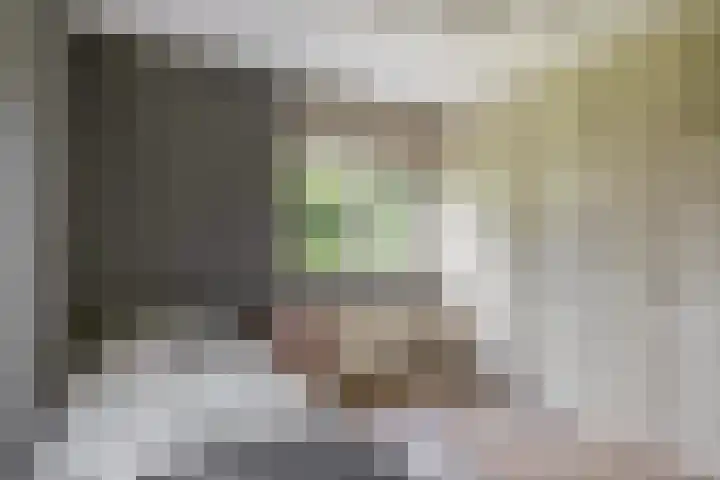 Sperwerhoek 12 Waddinxveen thumbnail 33