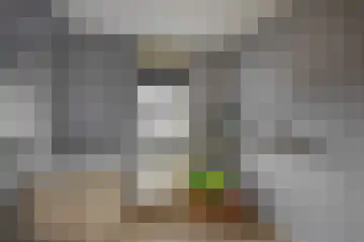 Sperwerhoek 12 Waddinxveen thumbnail 35