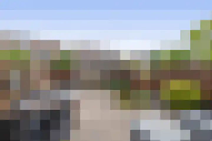 Sperwerhoek 18 Waddinxveen thumbnail 18