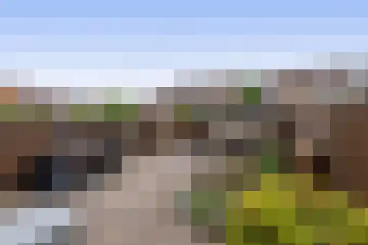 Sperwerhoek 18 Waddinxveen thumbnail 19