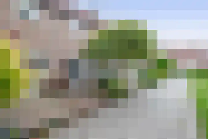 Sperwerhoek 18 Waddinxveen thumbnail 23
