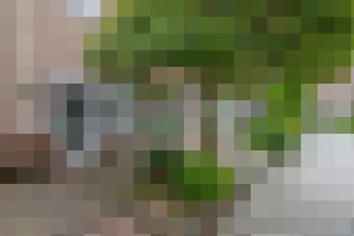 Sperwerhoek 18 Waddinxveen thumbnail 24