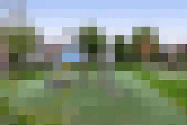 Sperwerhoek 18 Waddinxveen thumbnail 26