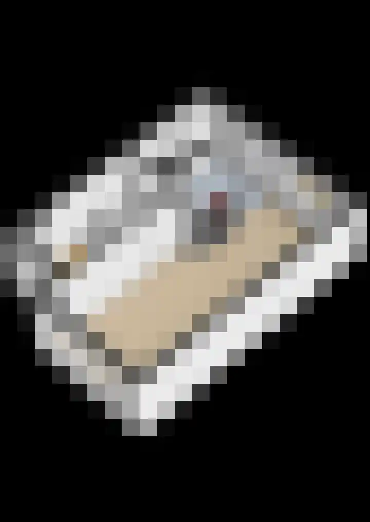 Sperwerhoek 18 Waddinxveen thumbnail 32