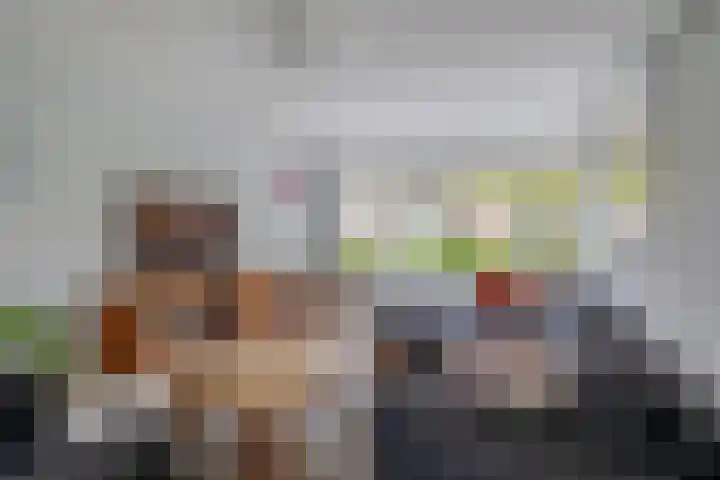 Sperwerhoek 18 Waddinxveen thumbnail 4