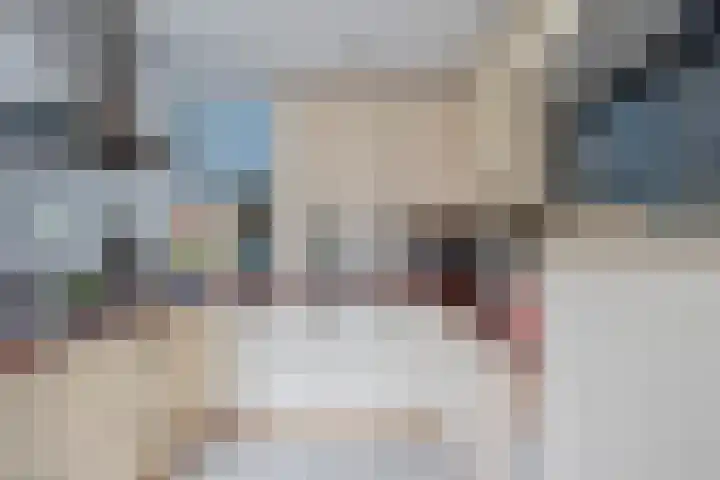 Sperwerhoek 18 Waddinxveen thumbnail 8