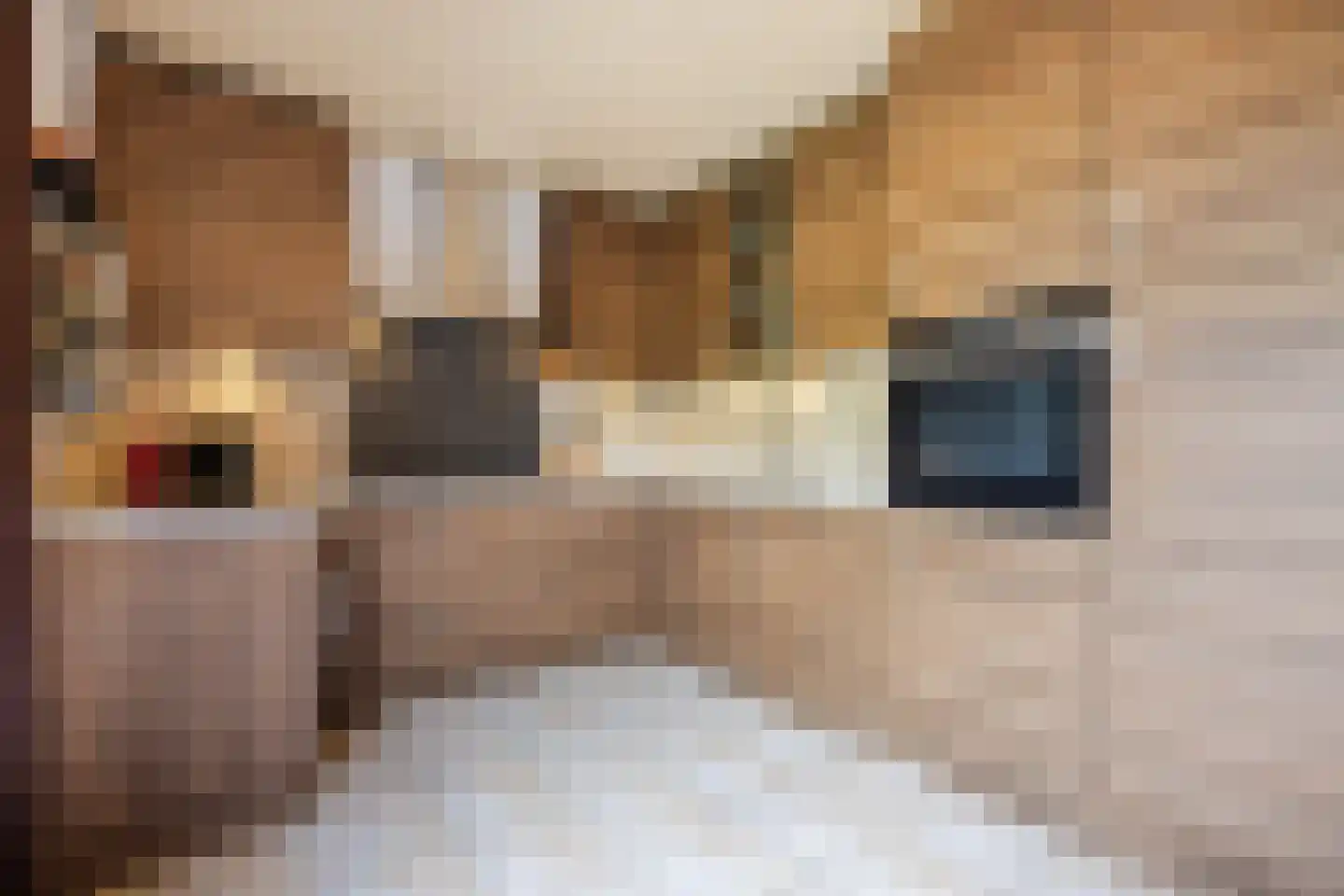 Sperwerhoek 31 Spijkenisse thumbnail 10