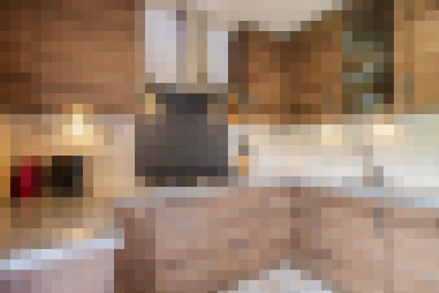 Sperwerhoek 31 Spijkenisse thumbnail 12