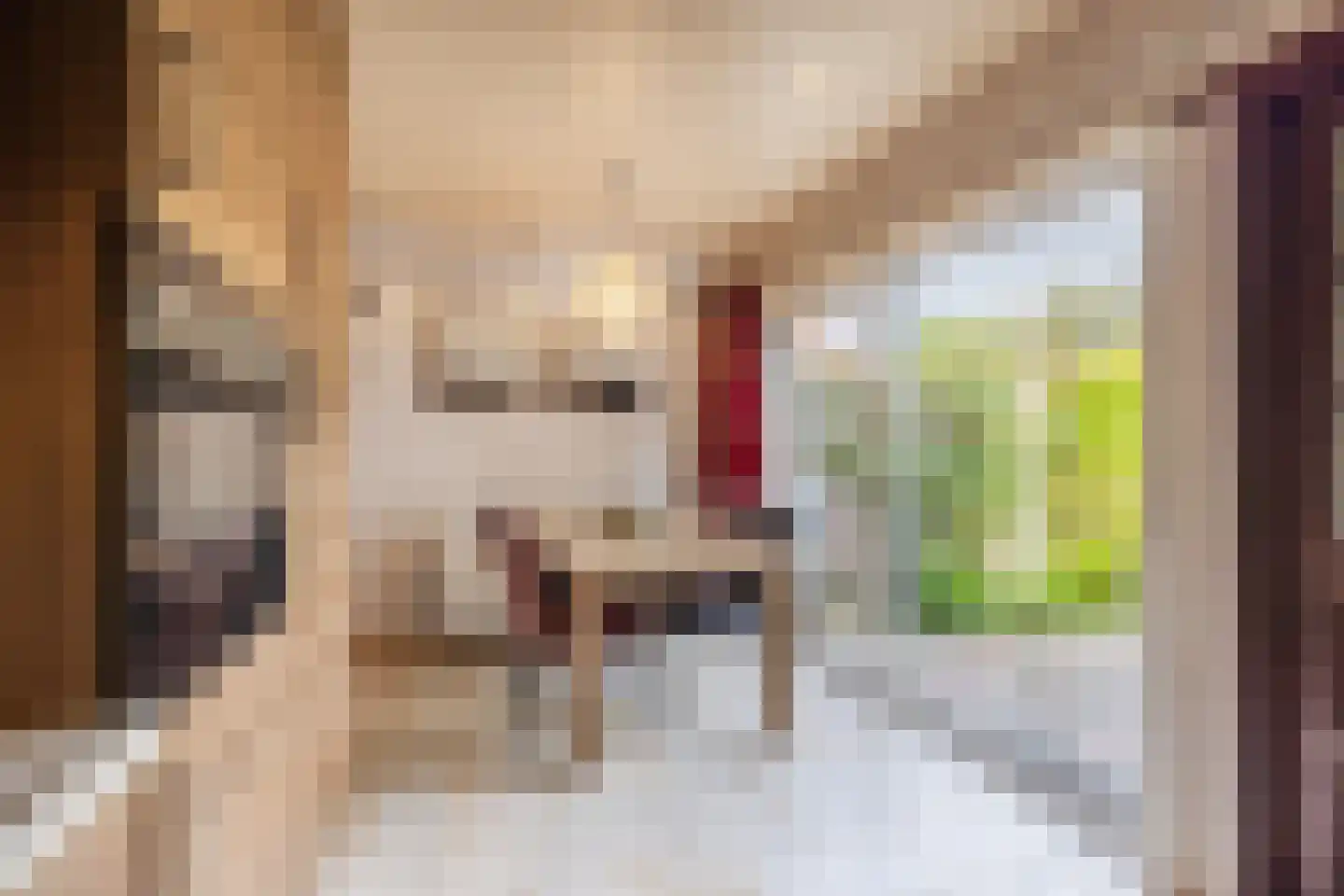 Sperwerhoek 31 Spijkenisse thumbnail 13